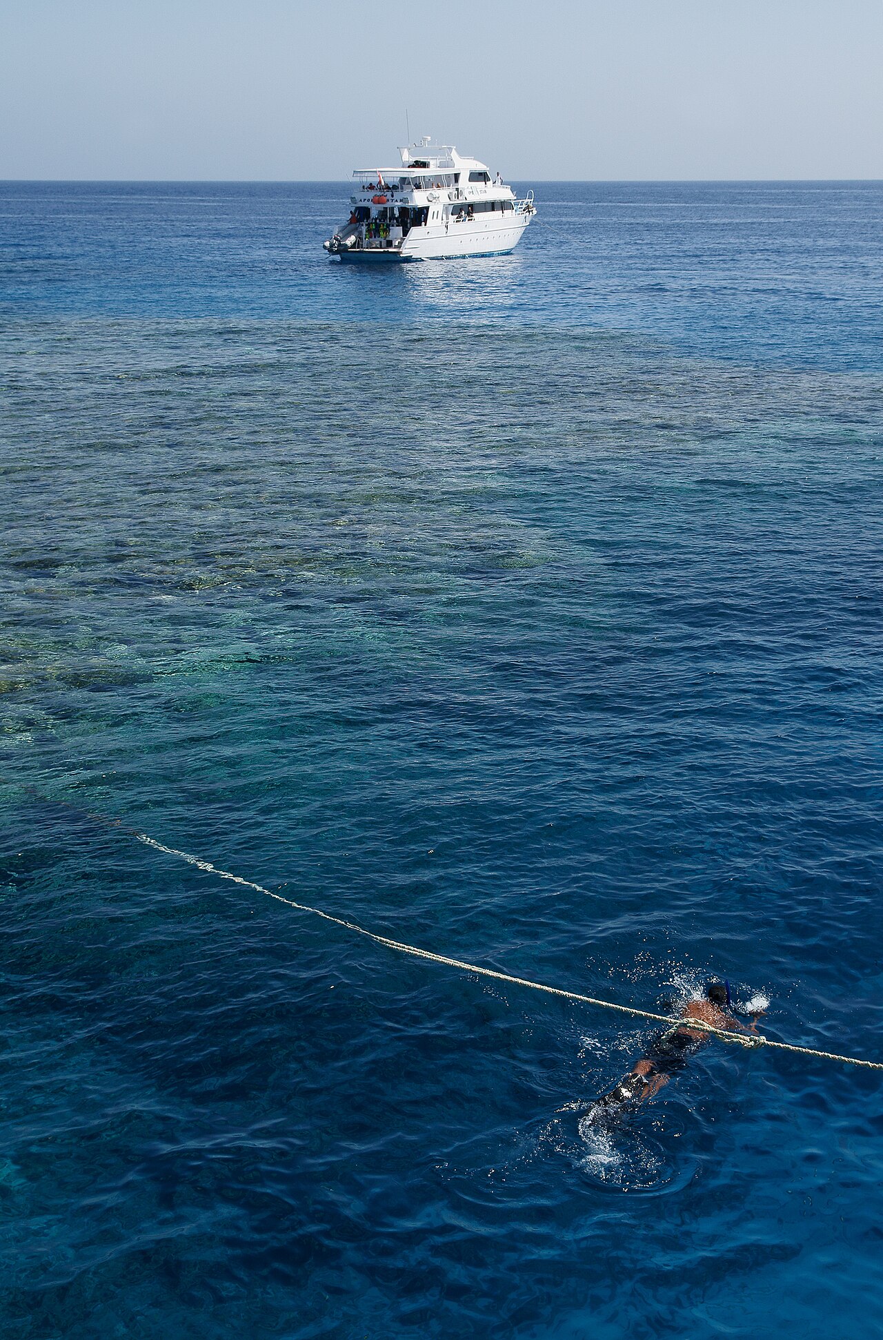 Snorkeler and boat over a Red Sea coral reef